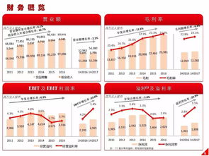 高鑫零售2024上半年業(yè)績解讀 營收穩(wěn)健增長，日用百貨銷售成亮點(diǎn)
